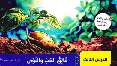 يُعد درس "فالق الحب والنوى" للدكتور زكي نجيب محمود أحد أهم نصوص منهج اللغة العربية لطلاب الشهادة الإعدادية في الترم الثاني. يتناول هذا النص نظرة فلسفية وإيمانية عميقة حول قدرة الله عز وجل في إحياء الموات، حيث يبين لنا الكاتب الفرق الجوهري بين النظرة السطحية للأشياء وبين التأمل في حقيقتها الإبداعية. من خلال هذا المقال، نستعرض معكم تحليل نص فالق الحب والنوى وفقاً لتعديلات المنهج لعام 2026، متضمناً أهم اللغويات، ومواطن الجمال، والأسئلة المتوقعة في امتحانات نهاية العام، لنساعدك عزيزي الطالب على فهم كيف تتحول حبة القمح ونواة التمر من "جماد أصم" إلى "طاقة حيوية جبارة" بمشيئة الخالق والظروف المواتية.