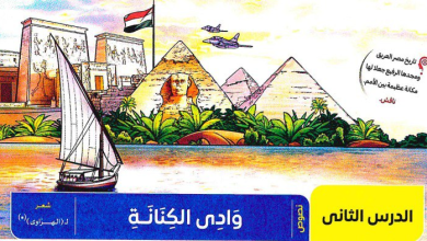 يُعد نص وادي الكنانة للشاعر محمد الهراوي واحداً من أهم النصوص المقررة في مادة اللغة العربية للصف الثالث الإعدادي الترم الثاني. لقد استطاع الشاعر من خلال أبياته أن يبث روح الحماس في نفوس الشباب